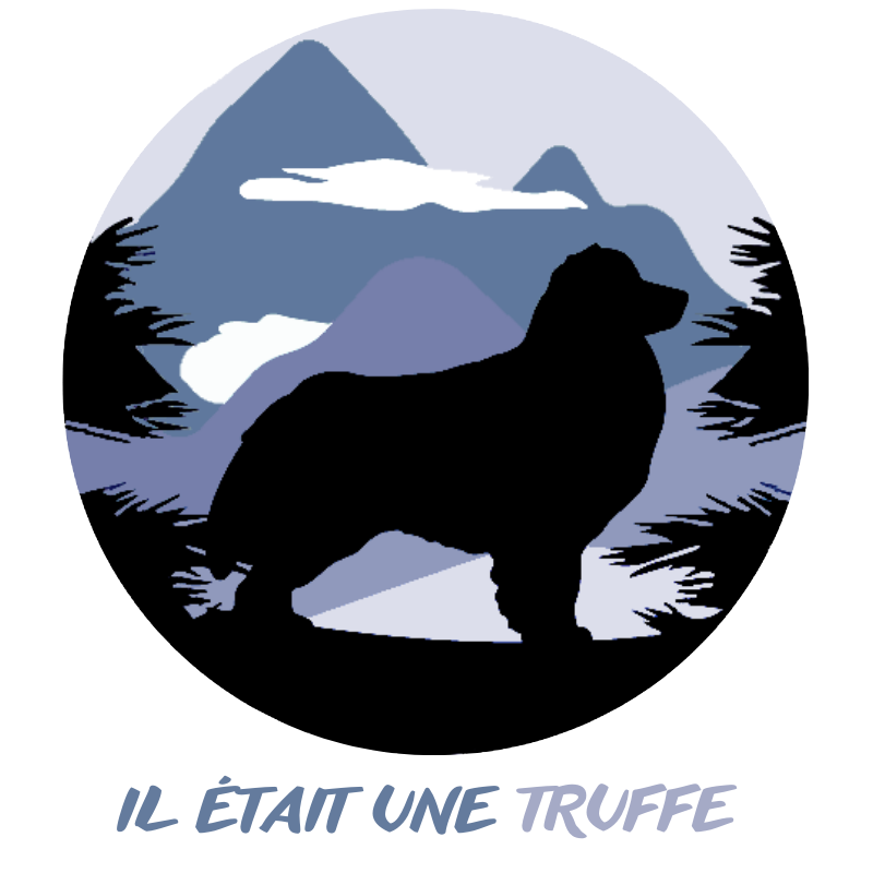 Il était une Truffe